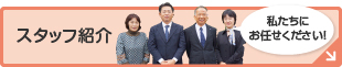 スタッフ紹介