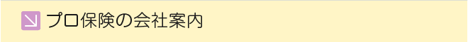 プロ保険の会社案内