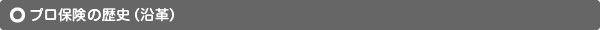 プロ保険の歴史（沿革）